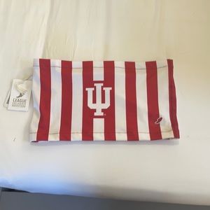 IU Striped Bandeau Top